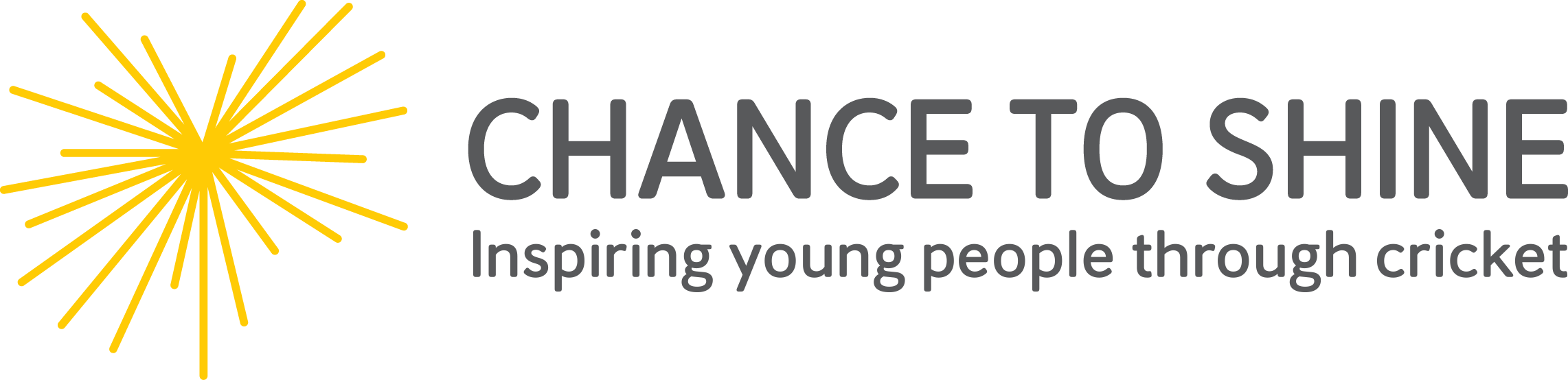 Chance to Shine cricket charity logo