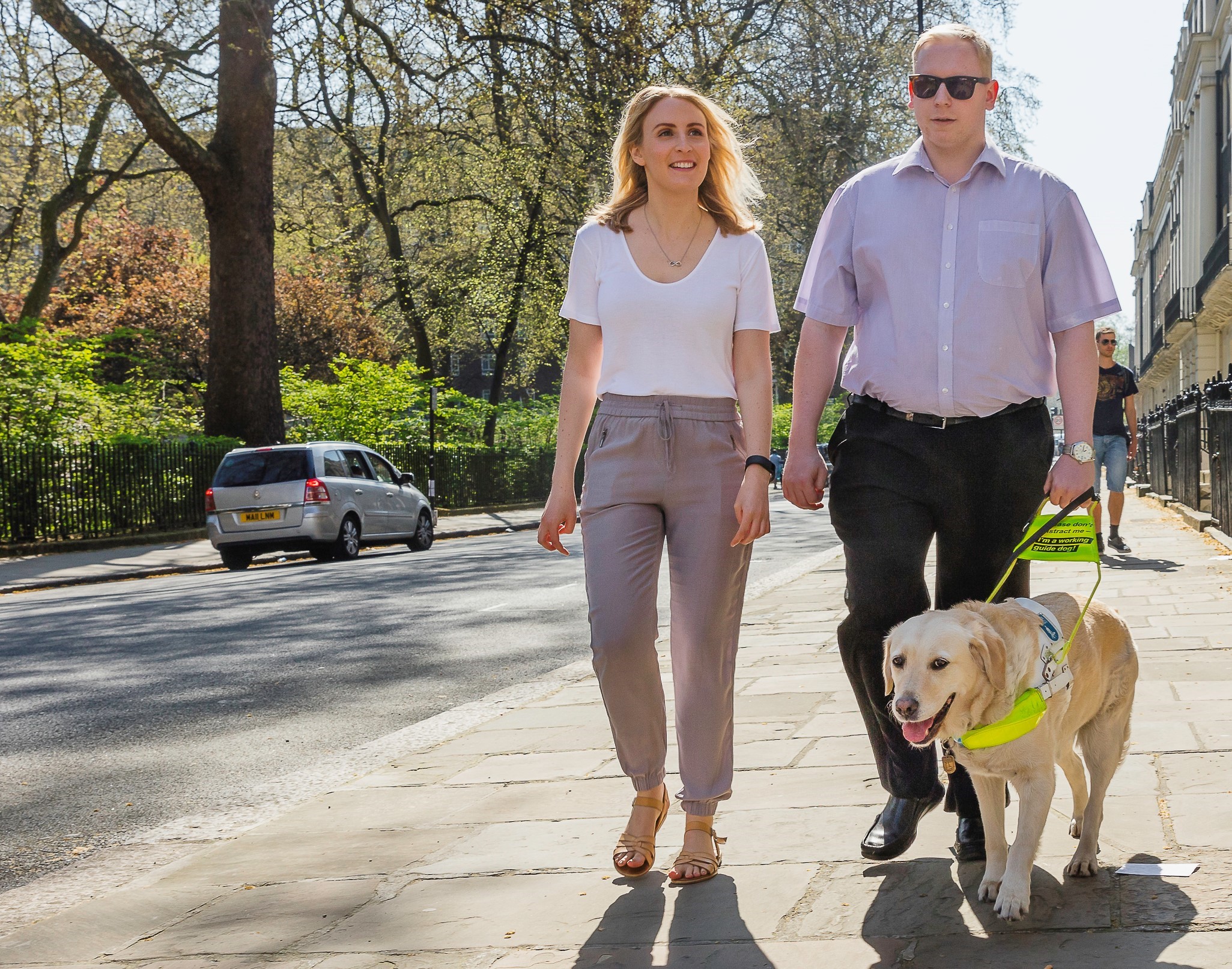 guide-dog-image-tpt