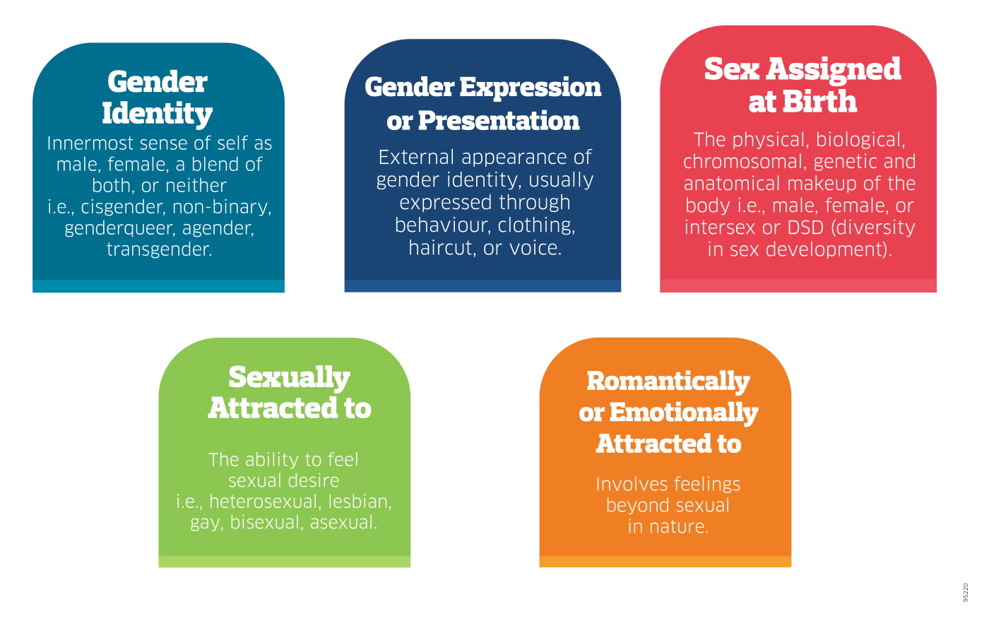 embracing-diversity-lgbtq-inclusive-coaching-body-image-graphic-1